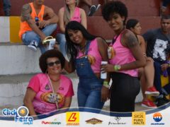 Festa do Boi Malandro
